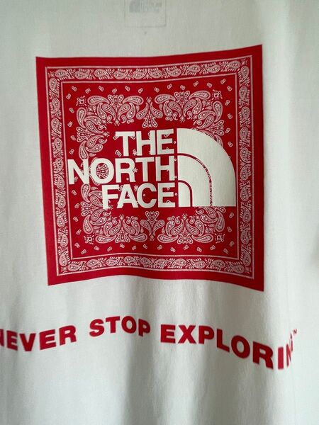 THE NORTH FACE Tシャツ バンダナ柄 ホワイト Sサイズ
