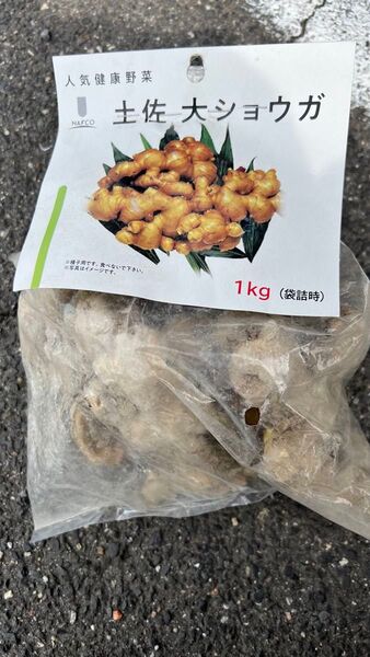 土佐大生姜 1kg 新鮮な大身種生姜