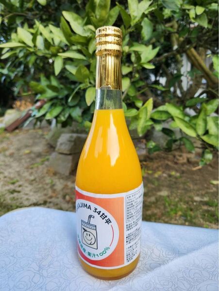 愛媛県中島産 無添加100%ジュース 4本セット