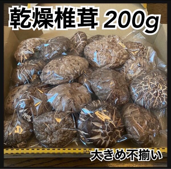 【産地直送】 乾燥椎茸 しいたけ 200g コンパクトボックス発送 岩手県産 東北の味 どんこ 大きめ