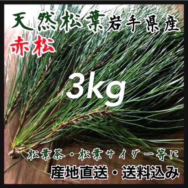 【産地直送松葉】3kg 松葉茶 健康茶 採れたて発送!天然まつば 松葉茶 サイダーにも 健康茶 産地直送松葉 山岳に生える