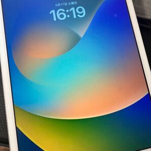 iPad 第7世代 32GB Wi-Fi+Cellular セルラー シルバー 動作確認済