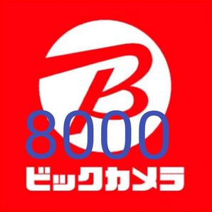 ビックカメラ 8,000