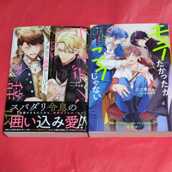そのシンデレラストーリー、謹んでご辞退申し上げます (&arche NOVELS) Q矢/著