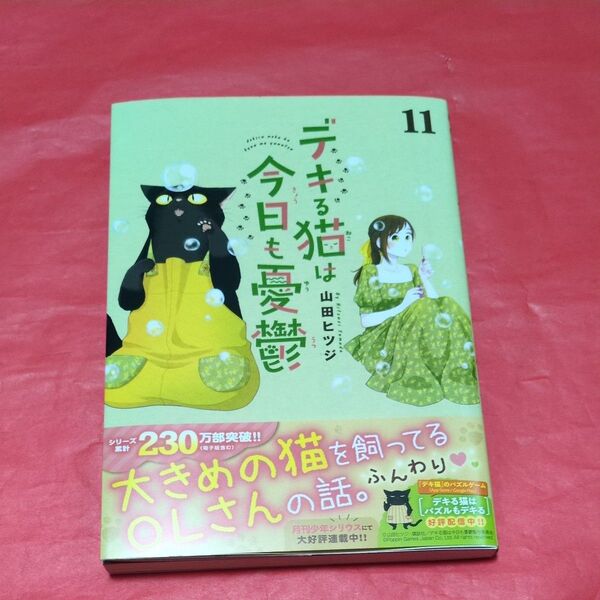 デキる猫は今日も憂鬱 11 (ワイドKC) 山田ヒツジ/著