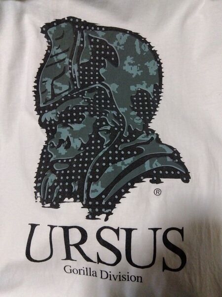 【used Lサイズ】A Bathing Ape Ursus Tシャツ