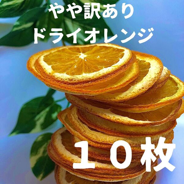 やや訳あり ドライオレンジ 10枚 ドライフルーツ 花材 素材