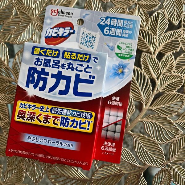 カビキラー 最先端防カビ技術 奥深くまで防カビ!