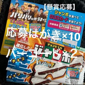 【懸賞応募】森永チョコモナカジャンボジャンボスマイルキャンペーン★応募はがき×10枚★対象商品バーコード×2枚