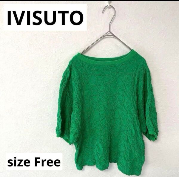 【美品】IVISUTO トップス 半袖 グリーン 日本製 刺繍 フリー カットソー
