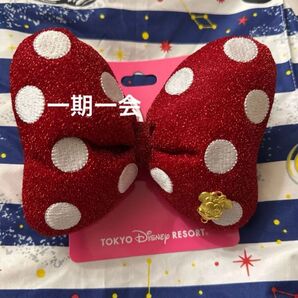 ディズニーリゾート ミニー ヘアゴム 大 リボン チャーム付 大 ディズニー