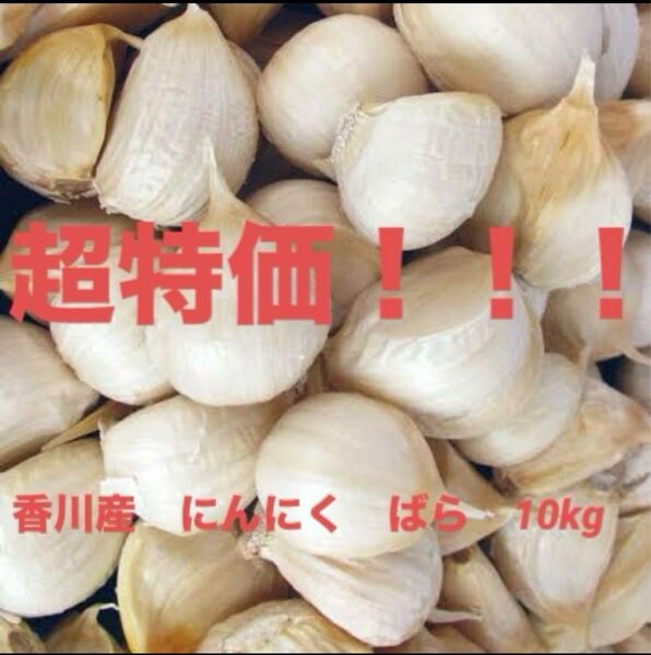香川県産 にんにく 10kg