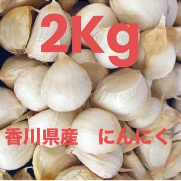 香川県産 にんにく 2kg