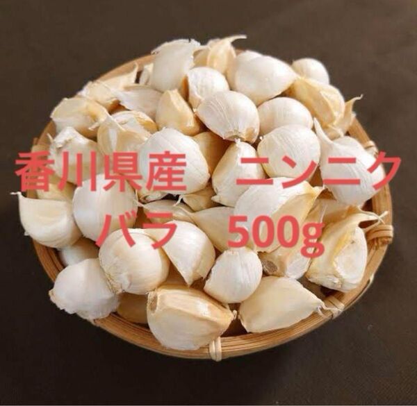 香川県産 無農薬 にんにく バラ 500g