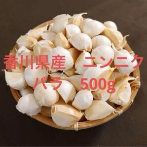 香川県産 無農薬 にんにく バラ 500g