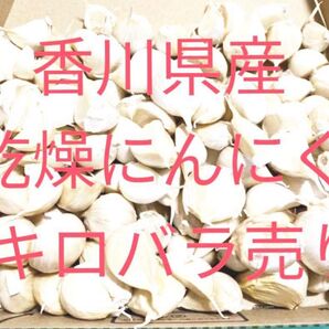 香川県産 乾燥にんにく 1キロ バラ売り
