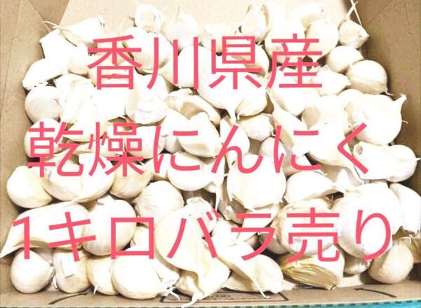 香川県産 乾燥にんにく 1キロ バラ売り