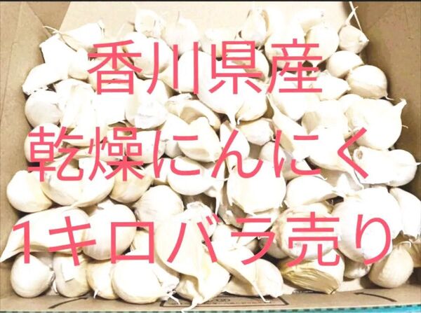 香川県産 乾燥にんにく 1キロ バラ売り