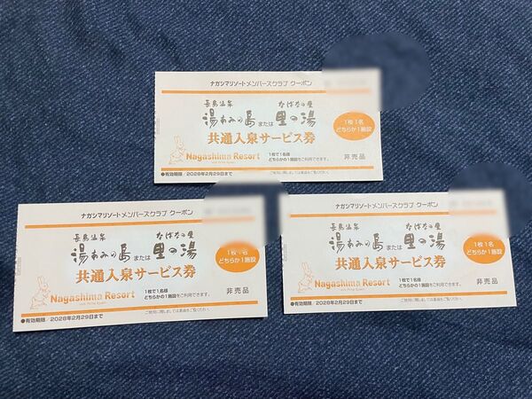 【3枚】湯あみの島《里の湯》共通入泉サービス券 2028年2月29日まで有効【ナガシマリゾート】長島温泉 チケット 入園券 お得
