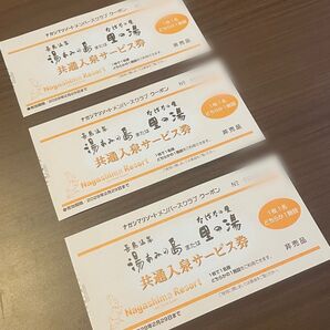 【3枚】湯あみの島《里の湯》共通入泉サービス券 2028年2月29日まで有効【ナガシマリゾート】長島温泉 チケット 入園券 お得