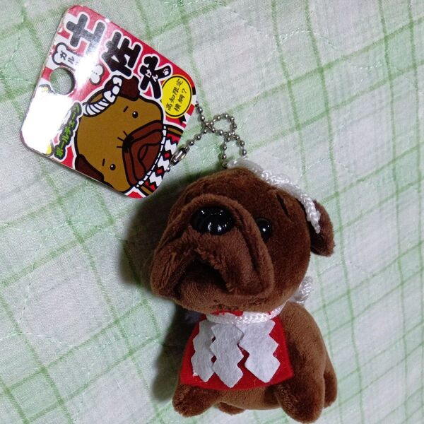 土佐犬メガボールチェーン高知限定 ぬいぐるみ キーホルダー