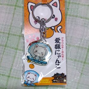 愛媛にゃんこ アクリルキーホルダー 未使用