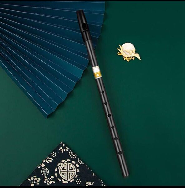 Jinchuan D調 ティンホイッスル 縦笛 教材専用ケース 専用袋付 黒