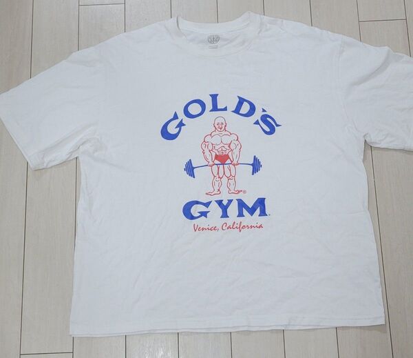 ゴールドジム カバロス トレーニングTシャツ L 横川直隆
