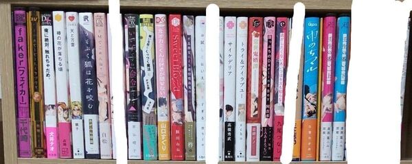 【商業BL 2冊で500円】 20冊