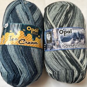 Opal 毛糸 2玉セット Ice Cream & Beautiful World