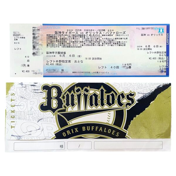 セ・パ交流戦 2025 6月6日 (金) 阪神タイガース vs オリックス・バファローズ 甲子園 レフト外野指定席 応援席