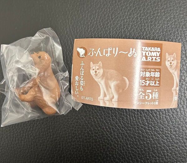 ふんばり〜ぬ トイプードル ガチャガチャ カプセルトイ