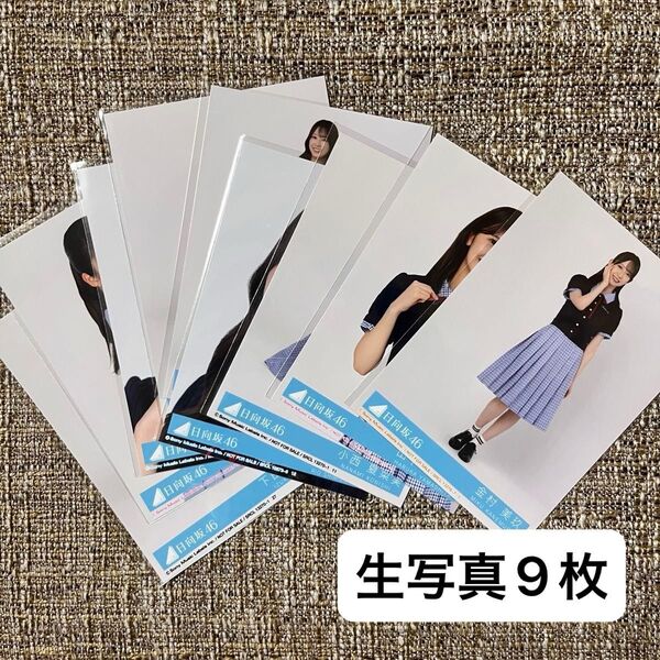 日向坂46 生写真 Love yourself! 封入 5期生 4期生 3期生