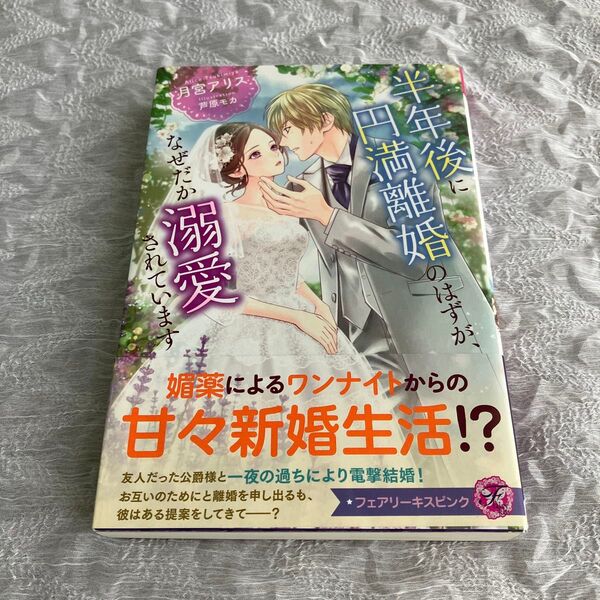 半年後に円満離婚のはずが、なぜだか溺愛されています (fairy kiss) 月宮アリス/著 恋愛小説 ファンタジー tl小説