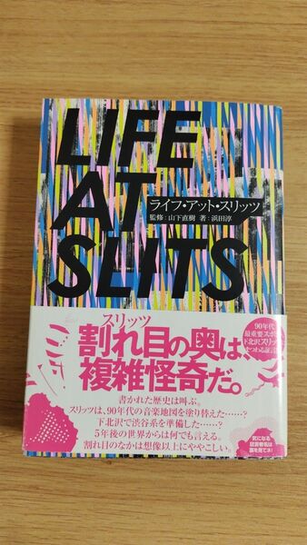 LIFE AT SLITS ライフ・アット・スリッツ 小山田圭吾 カジヒデキ 著