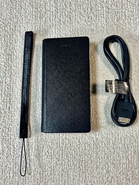 美品SONY ウォークマンZX300専用レザーケース CKL-NWZX300 未使用ウォークマン用USBケーブル付き