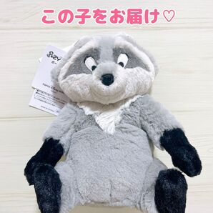 ディズニー ポカホンタス ミーコ ポージーペンケース ぬいぐるみ 未使用