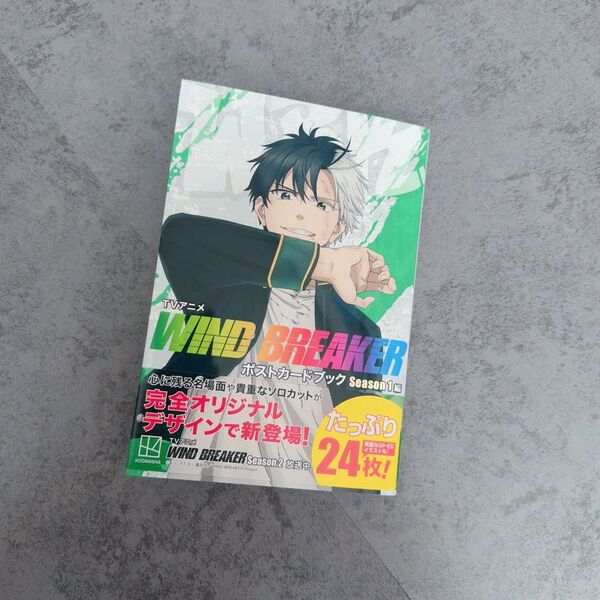 ウィンドブレイカー WIND BREAKER ポストカードブっク