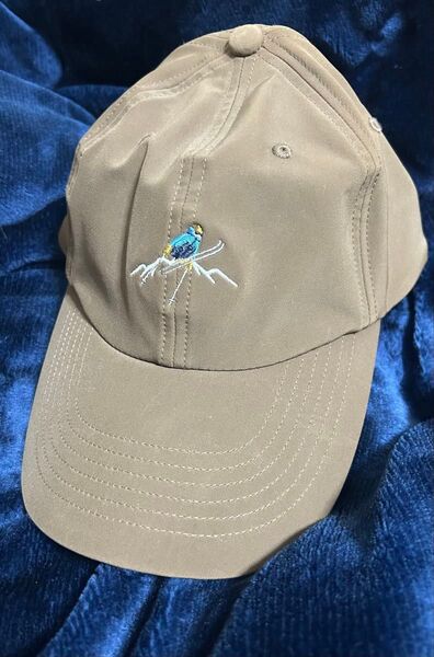THE NORTH FACE バーブキャップ NN01903茶L