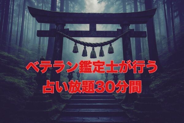 霊視×鑑定 高次元からのメッセージ 占い放題