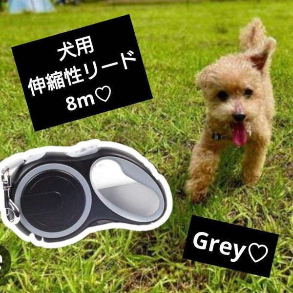 犬用伸縮リード 8m グレー お散歩のびのび軽量わんこハーネス楽々片手操作簡単