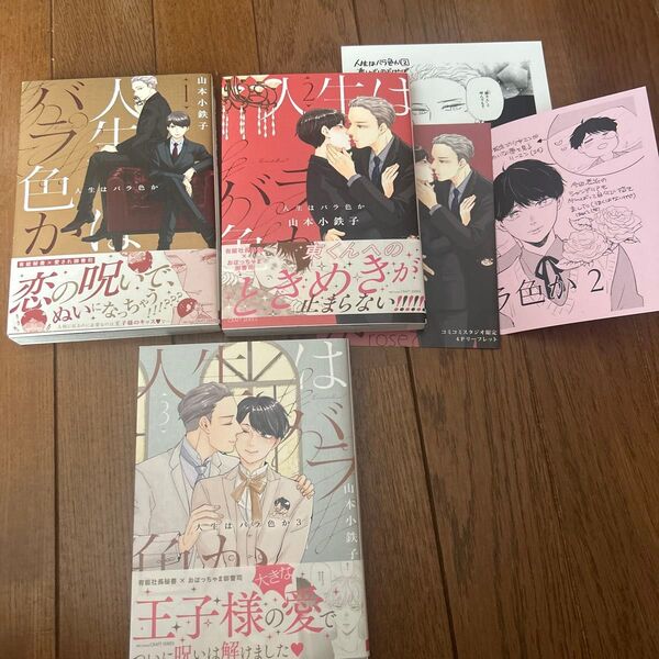 人生はバラ色か 全3巻