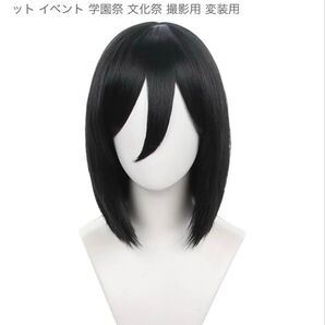 進撃の巨人 ミカサ アッカーマン ウィッグ コスプレ