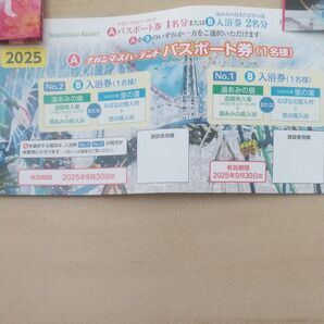 ナガシマスパーランド パスポート券