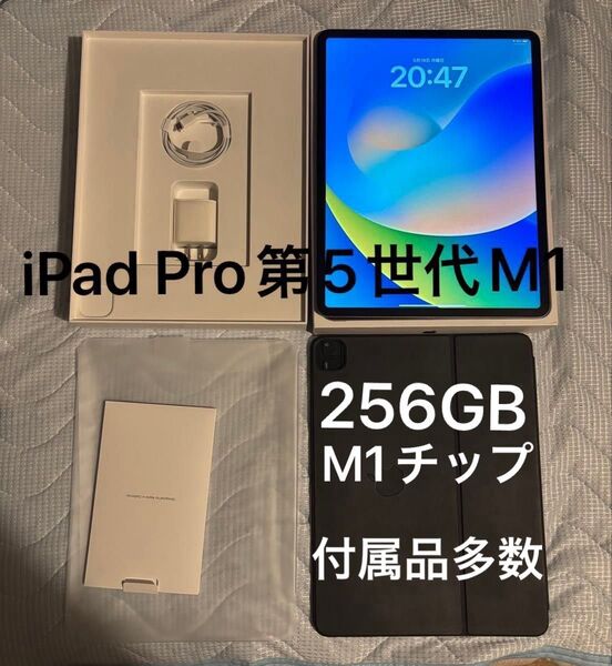 Apple iPad pro 12.9インチ第5世代 Wi-Fiモデル スペースグレイ 256GB 2021年 M1チップ