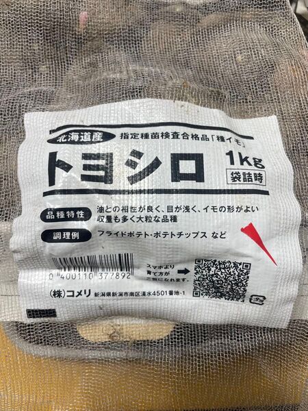 トヨシロ 種芋 約1.3kg