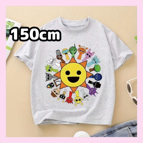 大人気★スプランキー 半袖Tシャツ 150cm グレー ミスターサン オールスター