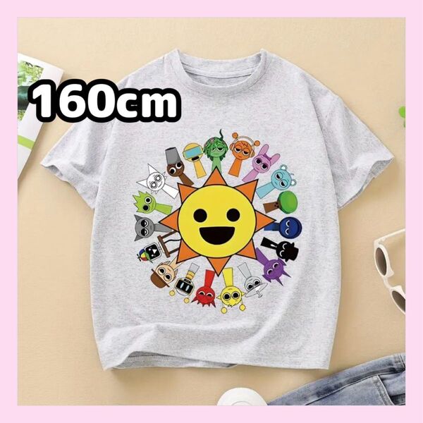 大人気★スプランキー 半袖Tシャツ 160cm グレー ミスターサンと仲間たち レディースSサイズ