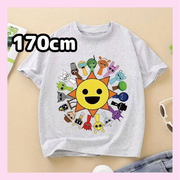 大人気★スプランキー 半袖Tシャツ 170cm グレー ミスターサンと仲間たち レディースMサイズ