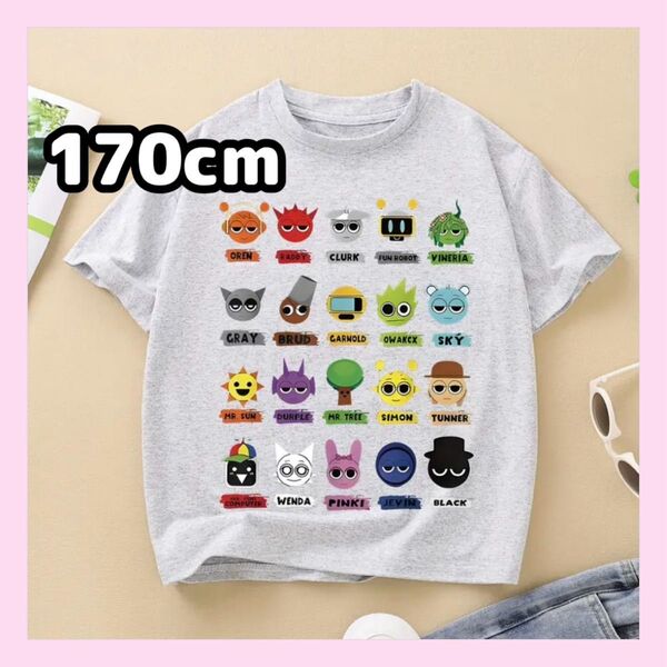 大人気★スプランキー 半袖Tシャツ 170cm グレー オールスター レディースMサイズ